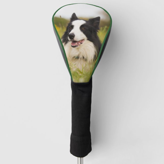 border collie in wildflowers golf head cover (Front)