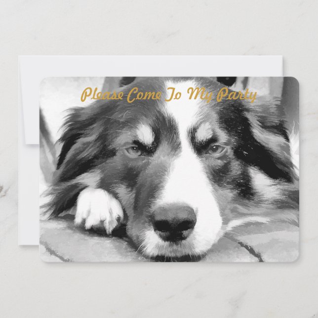 BORDER COLLIE INVITATION (Front)