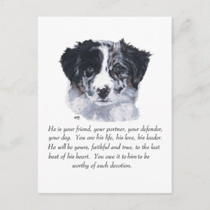 Border Collie Keepsakes Postcard