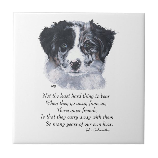 Border Collie Keepsakes Tile (Front)