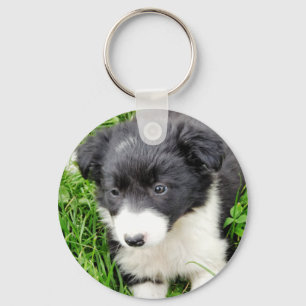 BORDER COLLIE KEYCHAIN