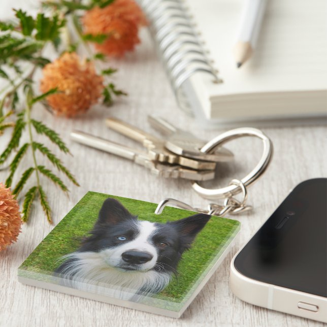 Border Collie Keychain (Front Right)