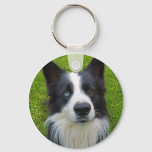 Border Collie Keychain