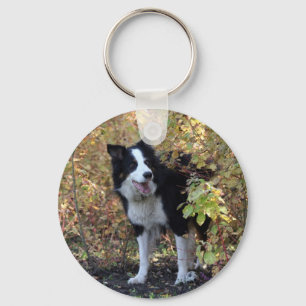 border collie keychain