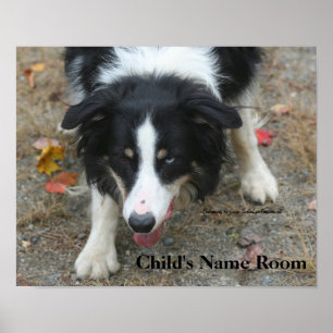 Border Collie Kids Room Personalized Wall Poster