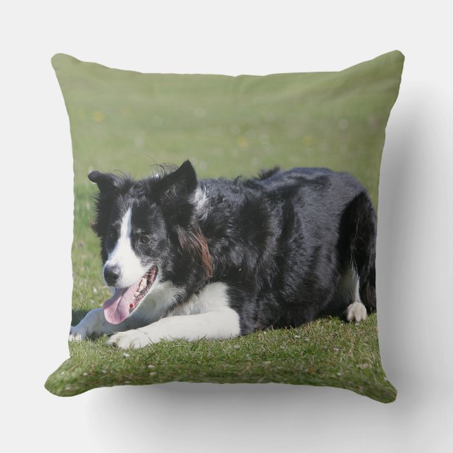 Border Collie Laying Down Throw Pillow (Front)