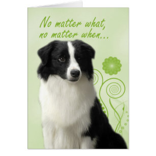 Border Collie Love/Suppport Card