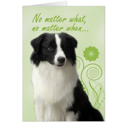 Border Collie Love/Suppport Card