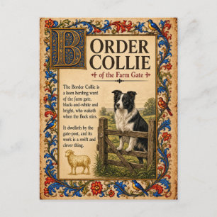 Border Collie, Medieval Bestiary Art Postcard