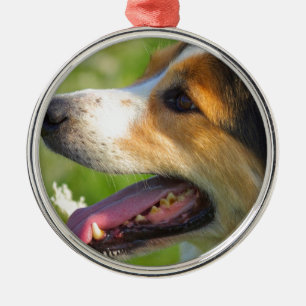 Border Collie Metal Ornament