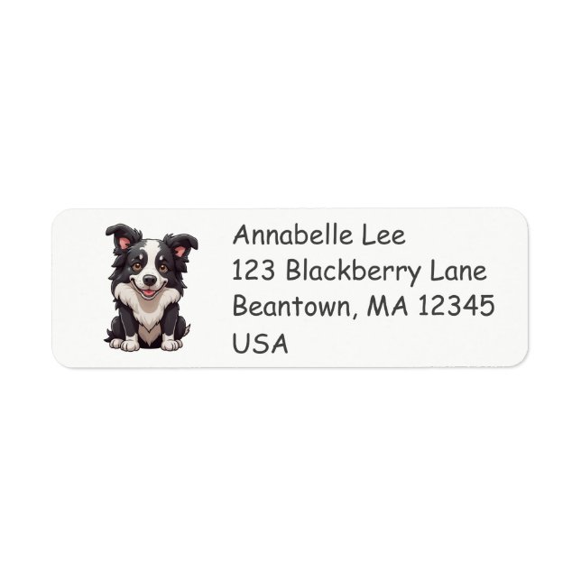 Border Collie mignon (Devant)