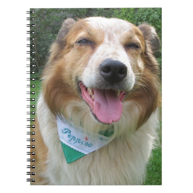 border collie mix notebook (Front)