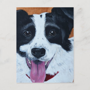 Border Collie Mix Painting Postcard