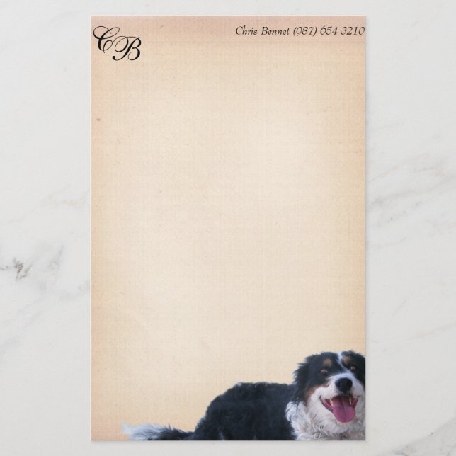 Border Collie Mix Stationery (Front)