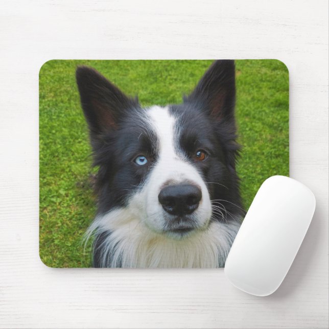 Border Collie Mouse Pad (With Mouse)