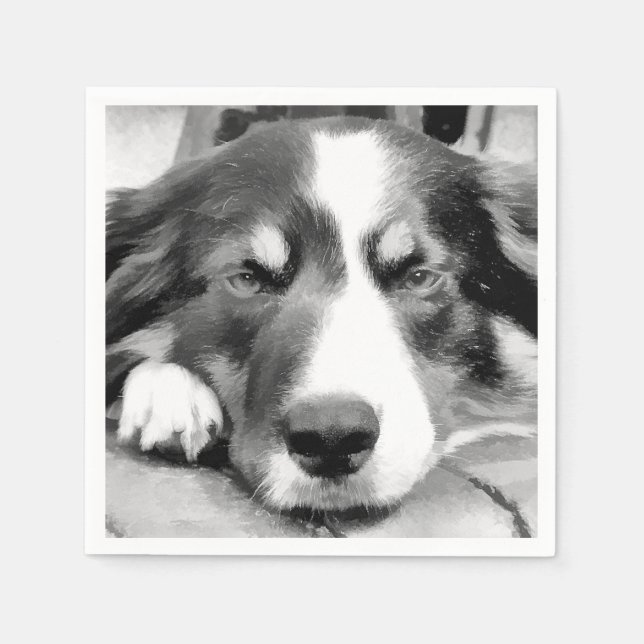 BORDER COLLIE NAPKIN (Front)