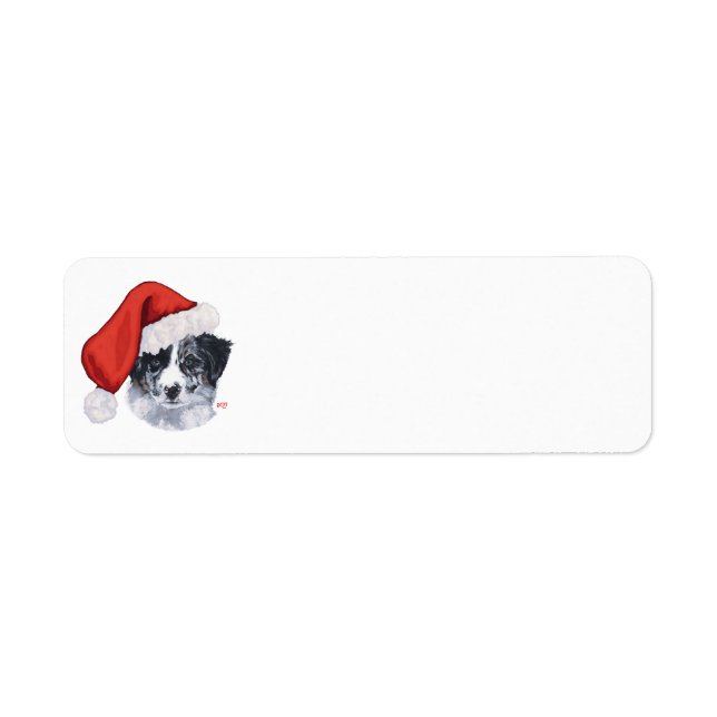 Border Collie Noël (Devant)