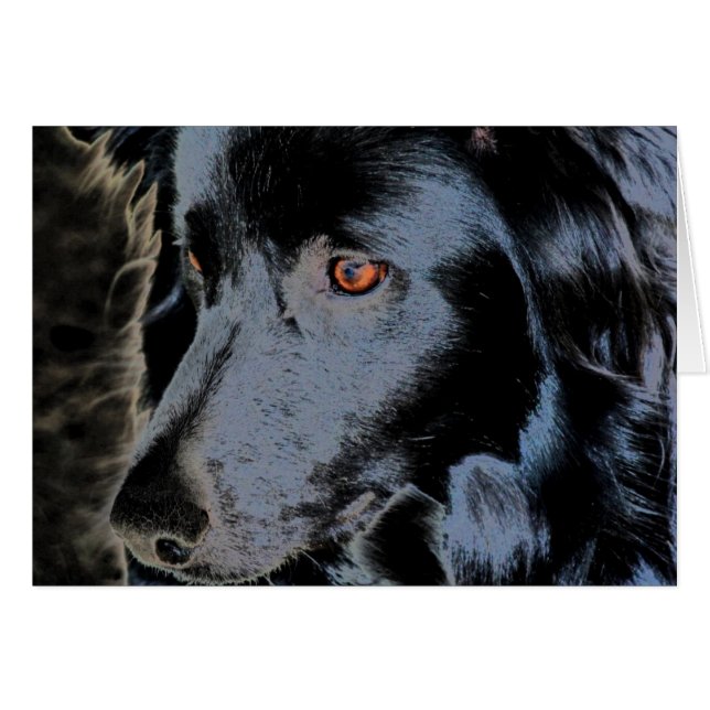 Border collie noir font face à la carte de chien (Devant Horizontal)