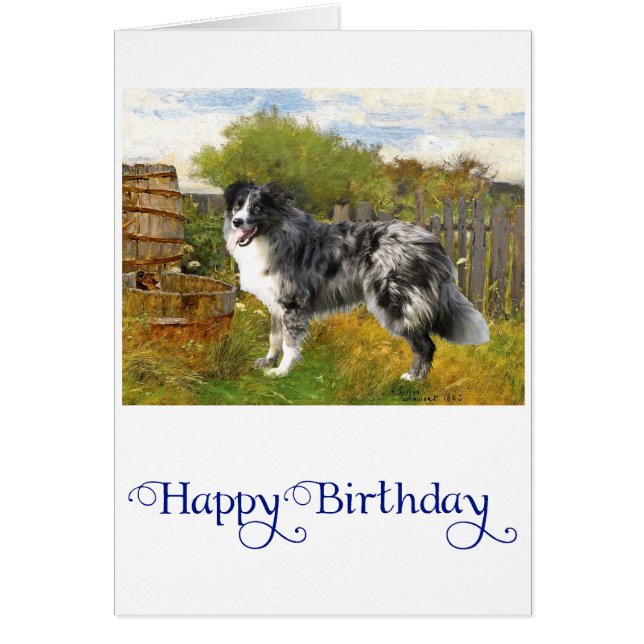 Border Collie on the Farm (Front)