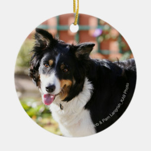 Border Collie Panting 1 Ceramic Ornament