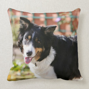 Border Collie Panting 1 Throw Pillow