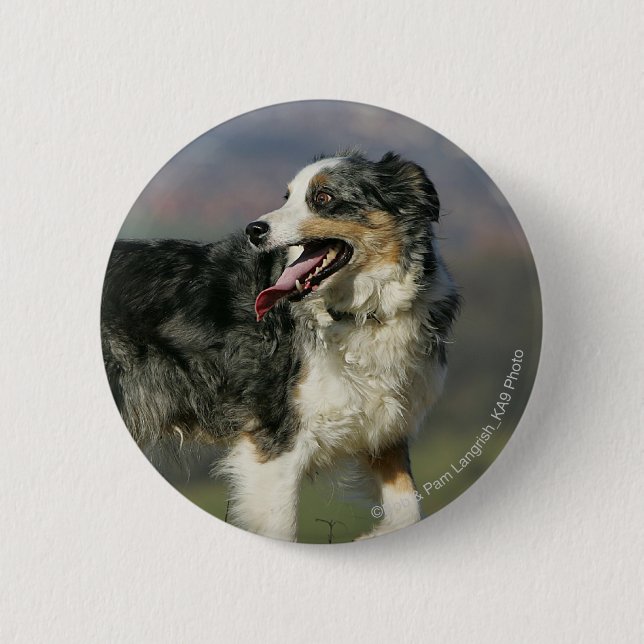 Border Collie Panting 2 2 Inch Round Button (Front)
