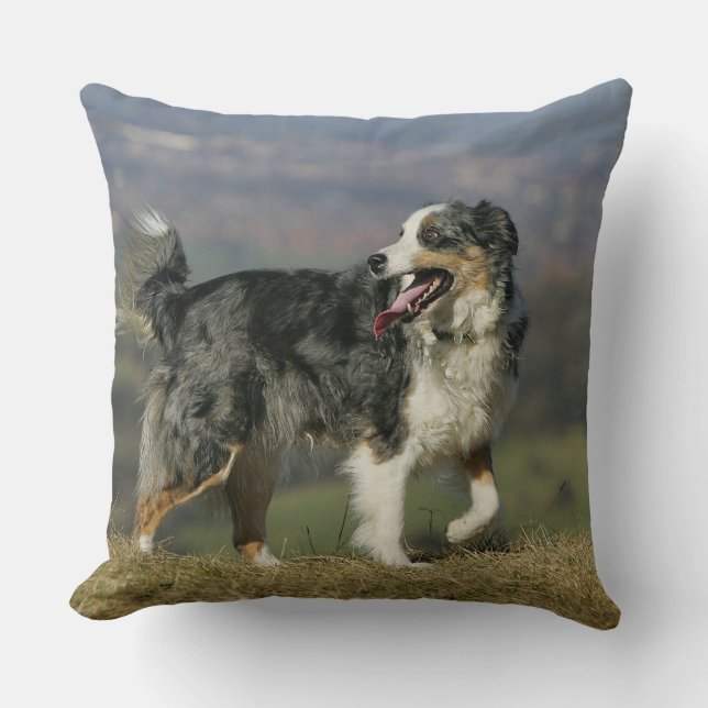 Border Collie Panting 2 Throw Pillow (Front)