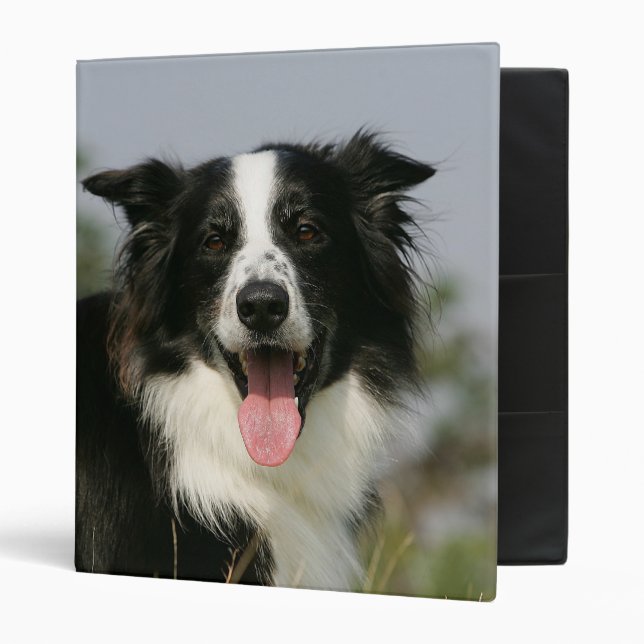 Border Collie Panting Headshot 1 Binder (Front/Inside)