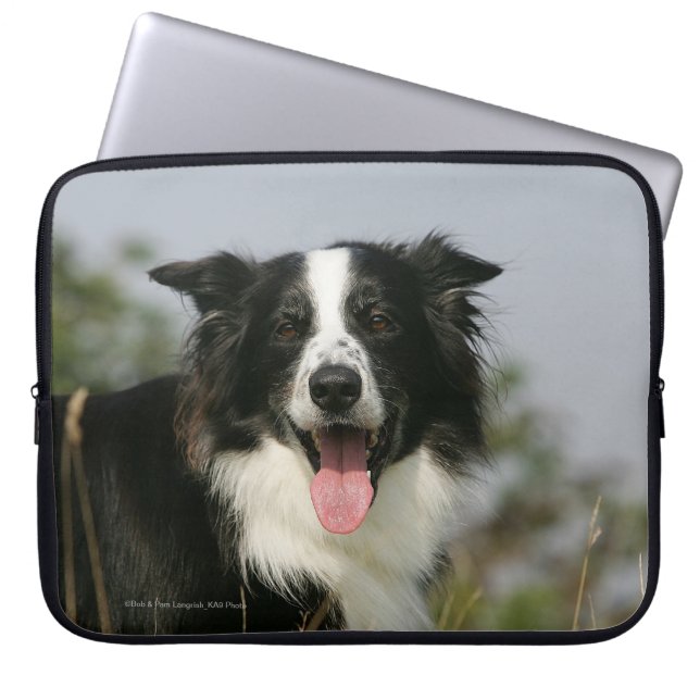 Border Collie Panting Headshot 1 Laptop Sleeve (Front)