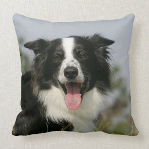 Border Collie Panting Headshot 1 Throw Pillow