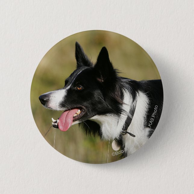 Border Collie Panting Headshot 2 Inch Round Button (Front)