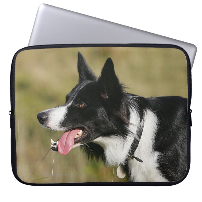 Border Collie Panting Headshot 2 Laptop Sleeve (Front)