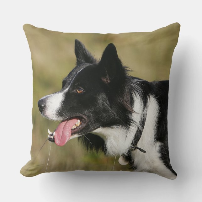 Border Collie Panting Headshot 2 Throw Pillow (Front)