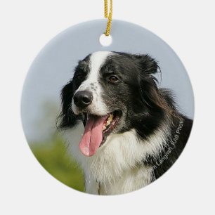 Border Collie Panting Standing Ceramic Ornament