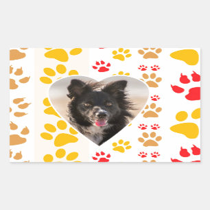 Border Collie Paw Print Love Heart Sticker