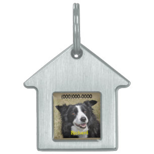 Border Collie Pet Name Tag