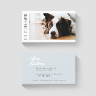 Border Collie Pet Photography Business Card