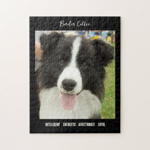 Dog breeds puzzle 166 best sale