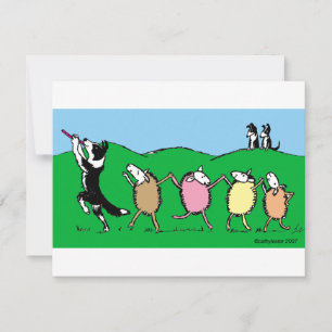 Border Collie Pied Piper