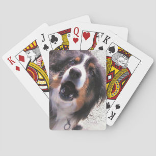 BORDER COLLIE  PLAYING CARDS