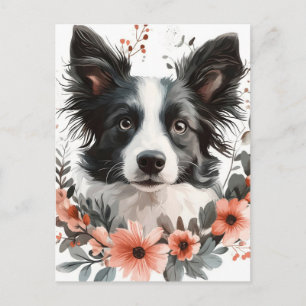 Border Collie Portrait with Floral Frame Postcard