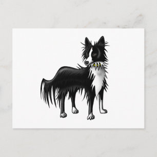 Border Collie Postcard