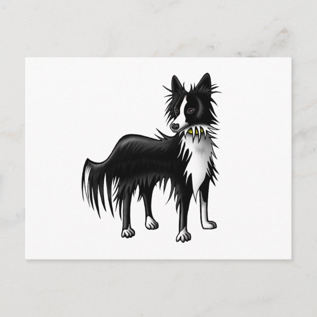 Border Collie Postcard (Front)