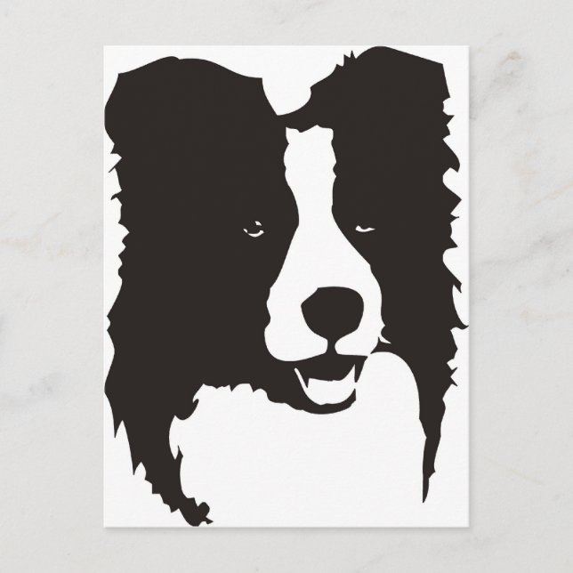 Border Collie Postcard (Front)