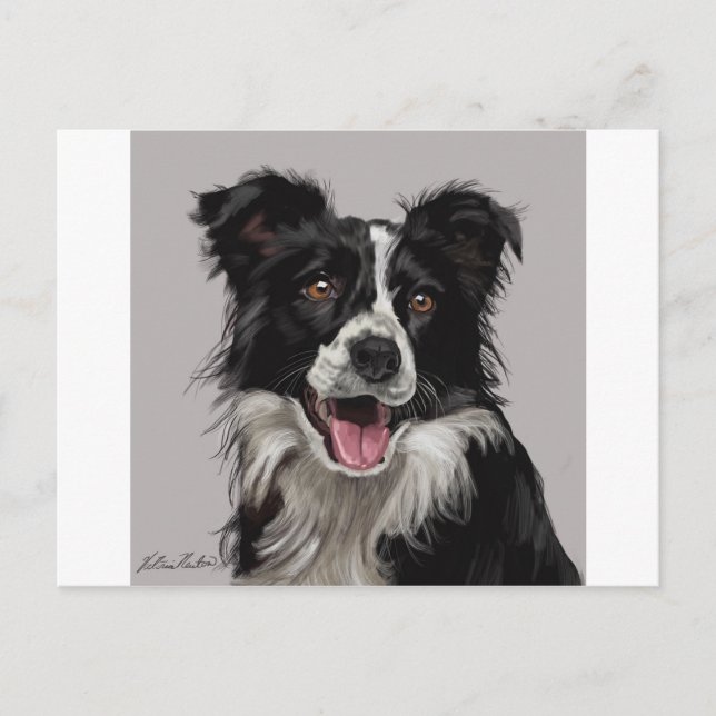 Border Collie Postcard (Front)