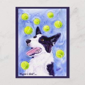 Border Collie Postcard - "Magpie's Gold"