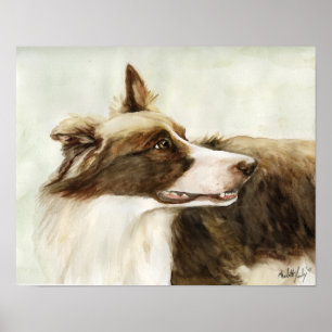 "Border Collie Profile" Art Reproduction Print