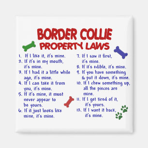 BORDER COLLIE Property Laws 2 Magnet