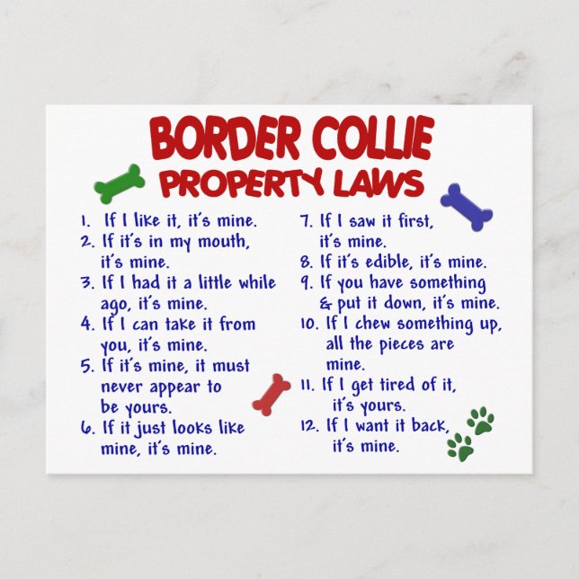 BORDER COLLIE Property Laws 2 Postcard (Front)