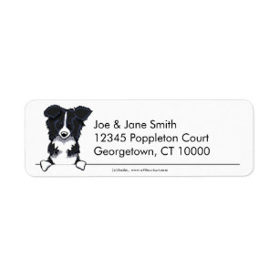 Border collie propre et simple